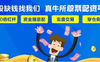 美林股票配资平台(美林股票配资平台是什么)