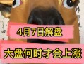 股市论道解盘(股市杂谈与每日解盘)