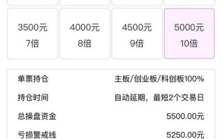 配资平台看什么赚钱(配资平台看什么赚钱快)