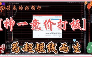 股票配资平台测试(股票配资平台体验)