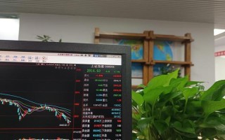 股票配资上市怎么炒股(股票配资上市怎么炒股的)
