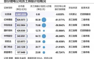 配资炒股应该买什么股票(配资炒股应该买什么股票比较好)