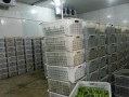 阜阳配资交易平台(阜阳配资交易平台官网)
