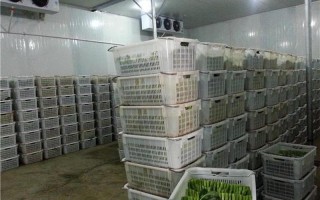 阜阳配资交易平台(阜阳配资交易平台官网)