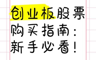 创业板的实盘配资不能买
