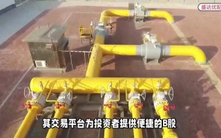 配资平台都用什么交易(配资平台都用什么交易系统)